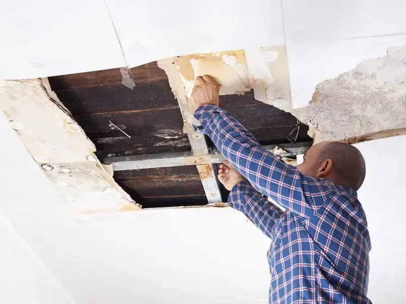 Wet drywall pulled down from a sagging ceiling to reach the framing above